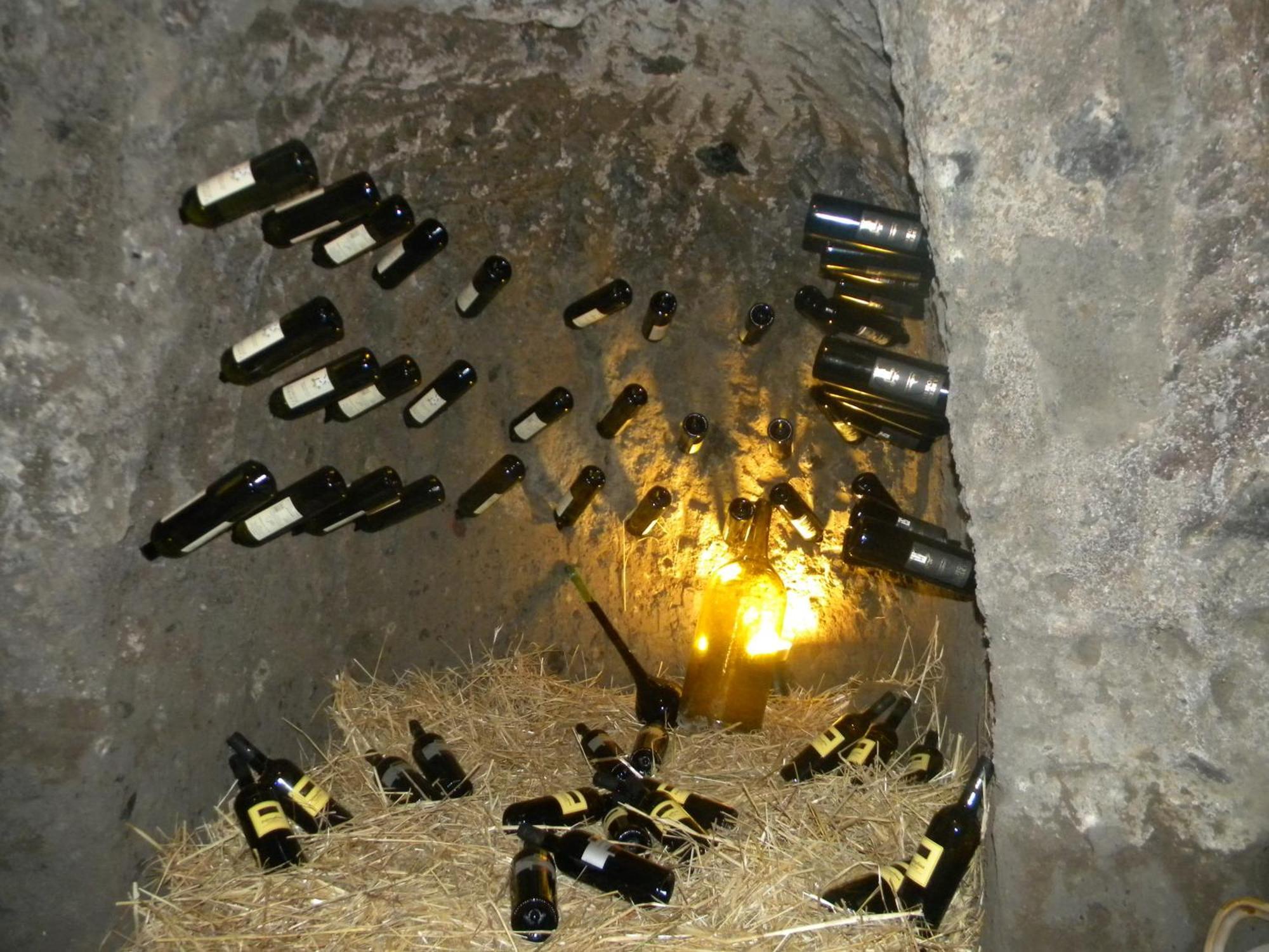 Agriturismo La Colombaia Capua Ngoại thất bức ảnh