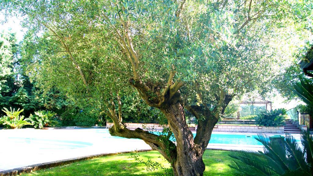Agriturismo La Colombaia Capua Ngoại thất bức ảnh